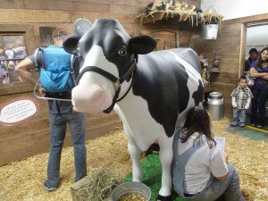 plastic cow 1